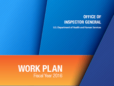 2016-OIG-Work-plan.png